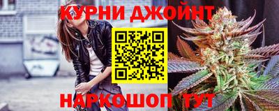 сатива Лесосибирск