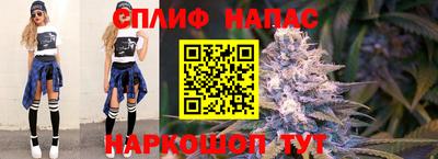 сатива Лесосибирск