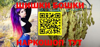 сатива Лесосибирск